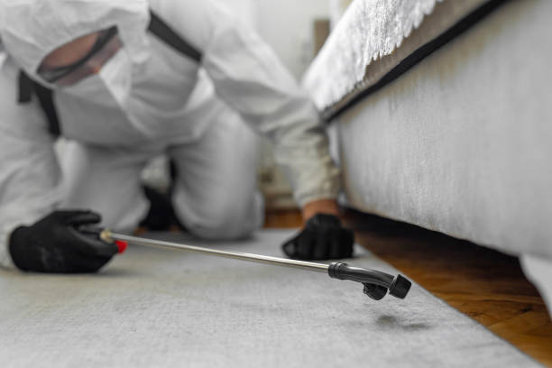 Professional Termite Control technician working in Howland Center, OH