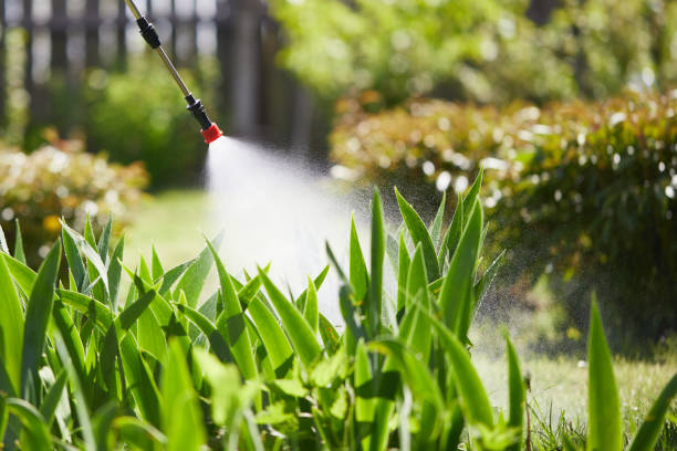 24/7 Emergency Termite Control experts in Howland Center, OH