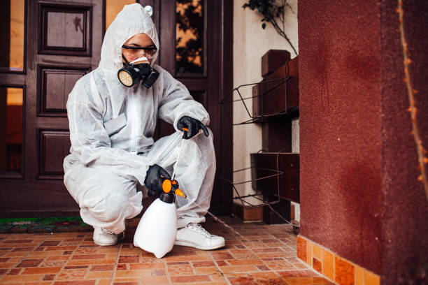 Reliable Termite Control contractor in Howland Center, OH by Nex Pest Control