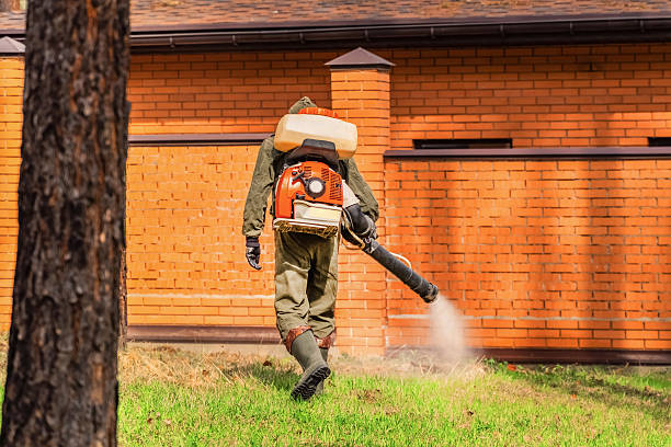 Trusted Cockroach Control service in Howland Center, OH - Nex Pest Control